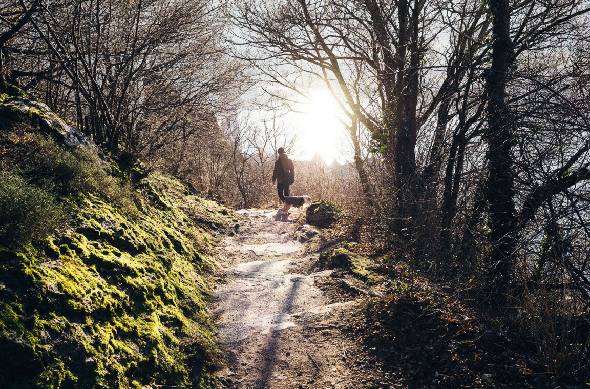 Tagesausflug in die Wachau